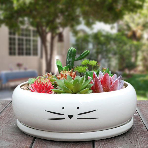Koolkatkoo 8 Inch Large Cute Cat Ceramic Succulent Planter Pots with Removable Saucer Unique Porcelain Cactus Planters Decorative Flower Pot for Cat Lovers White